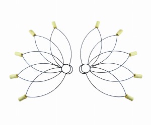 Fire Fans Flower