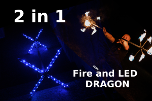 2in1 Fire/LED Dragon Staff